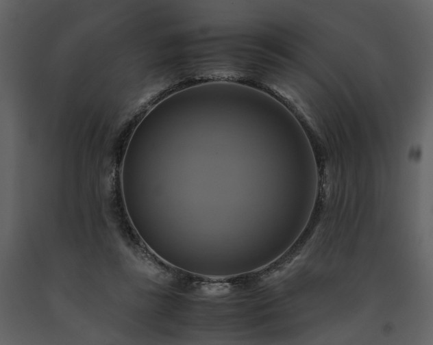 X0000091710355200708241252