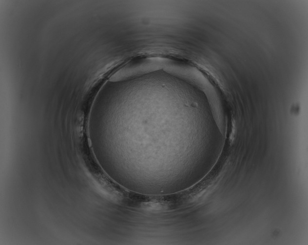 X0000091710356200708241252