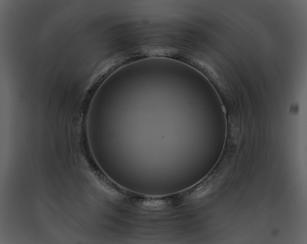 X0000091710357200708241252