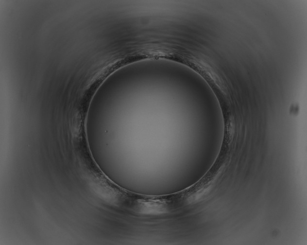 X0000091710359200708241252