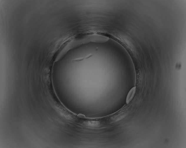 X0000091710361200708241252