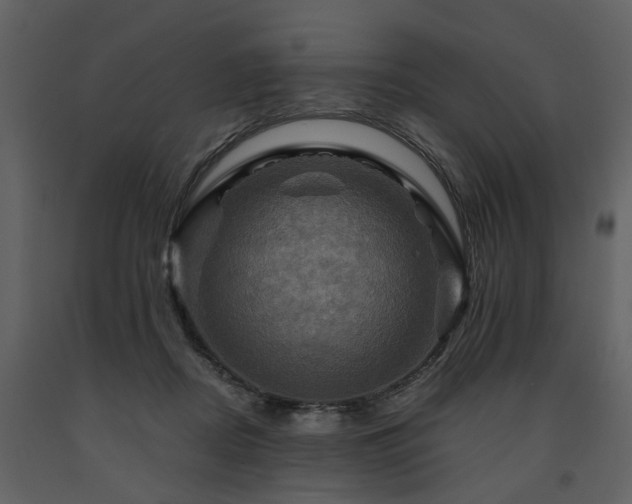 X0000091710362200708241252