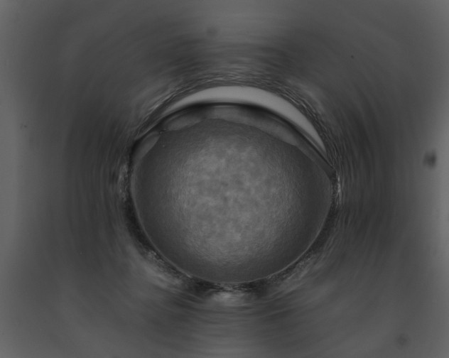 X0000091710364200708241253