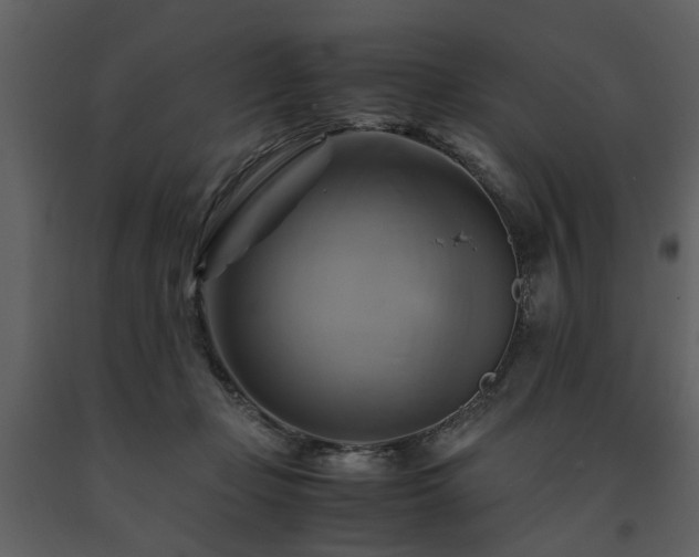 X0000091710365200708241253