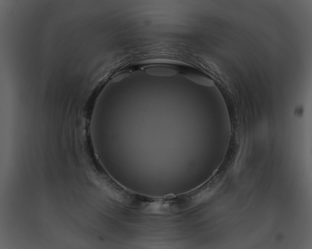 X0000091710366200708241253