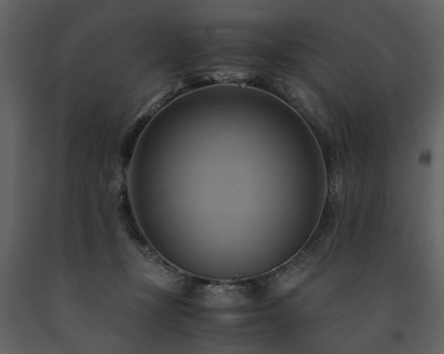 X0000091710367200708241253