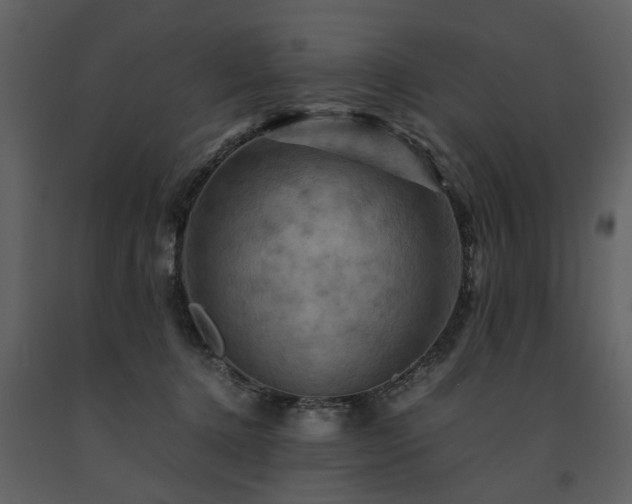 X0000091710368200708241253