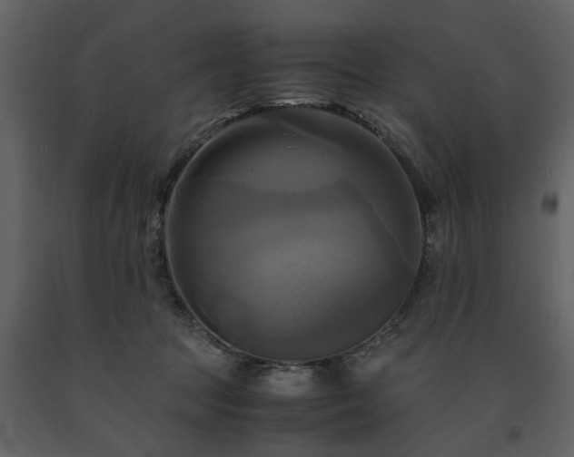 X0000091710369200708241253