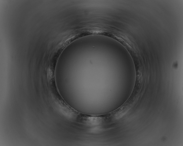 X0000091710371200708241253