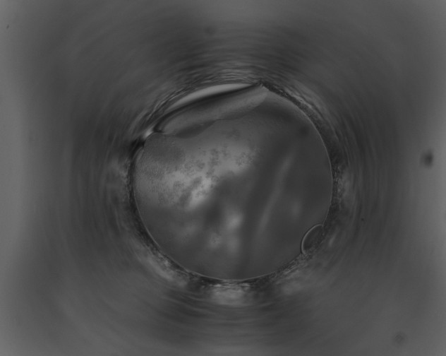 X0000091710373200708241253