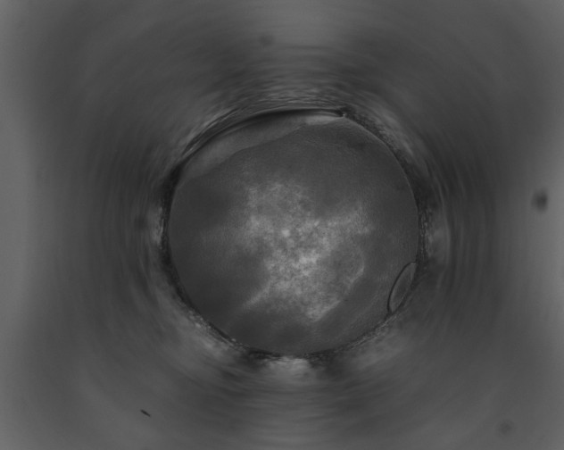 X0000091710374200708241253