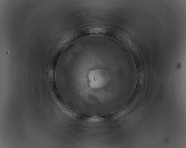 X0000091710375200708241253