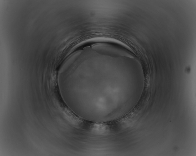 X0000091710376200708241253