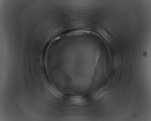 X0000091710377200708241253