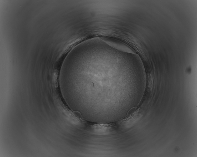 X0000091710378200708241253