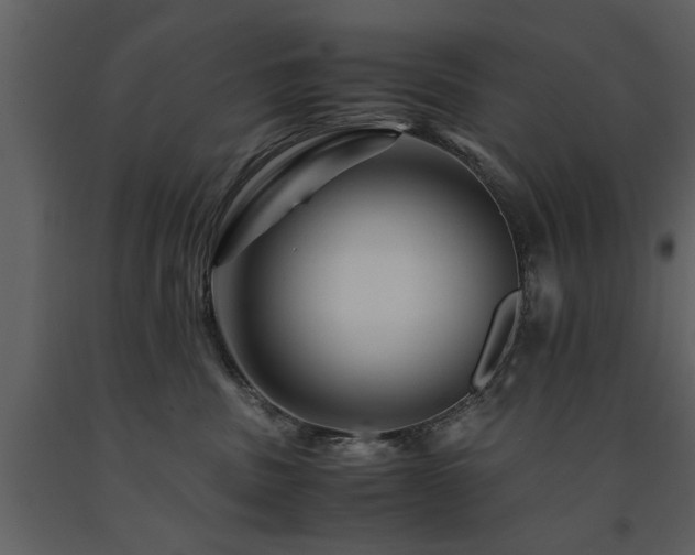 X0000091710379200708241253