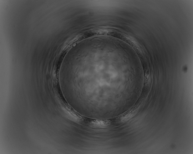 X0000091710381200708241253