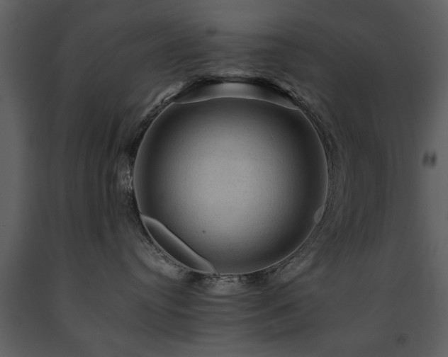 X0000091710384200708241253