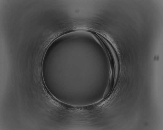 X0000091710385200708241252