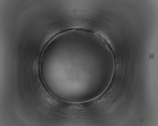 X0000091710386200708241252