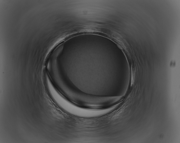 X0000091710387200708241252