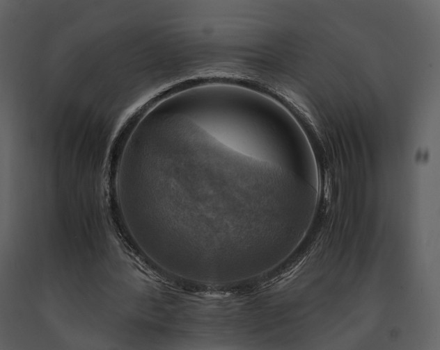 X0000091710388200708241252