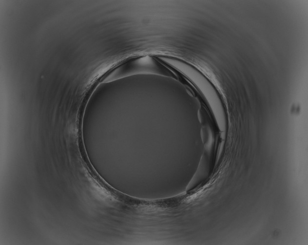 X0000091710389200708241252