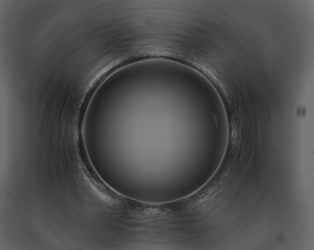 X0000091710390200708241252