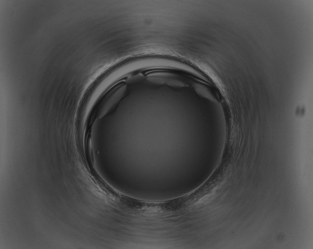 X0000091710391200708241252