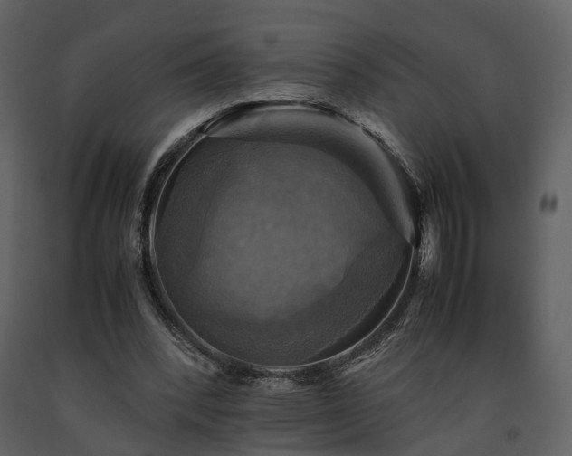 X0000091710392200708241252