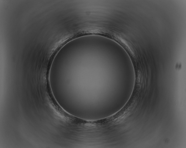 X0000091710394200708241252