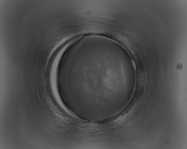 X0000091710395200708241252