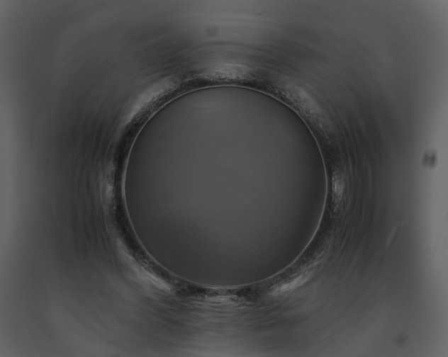 X0000091710396200708241252