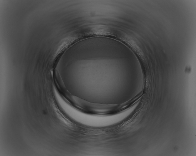 X0000091710397200708241252