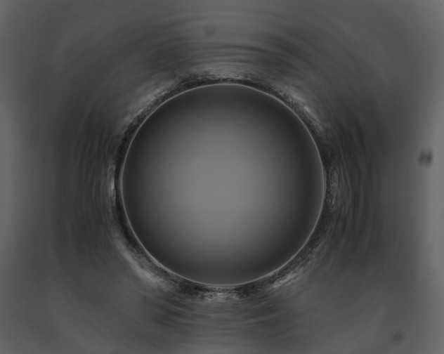 X0000091710398200708241252