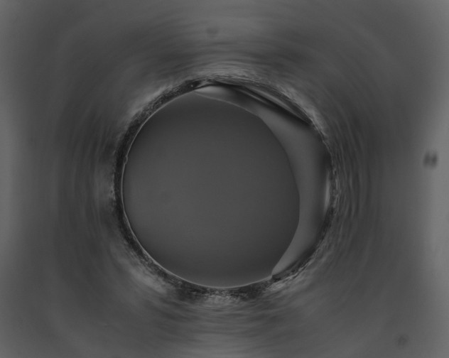 X0000091710399200708241252