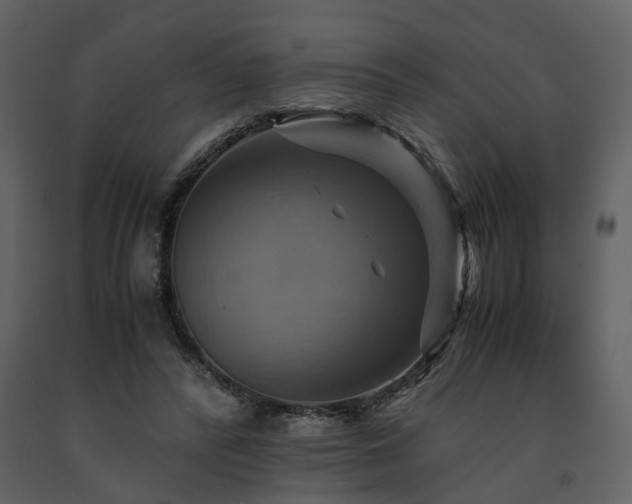 X0000091710400200708241252