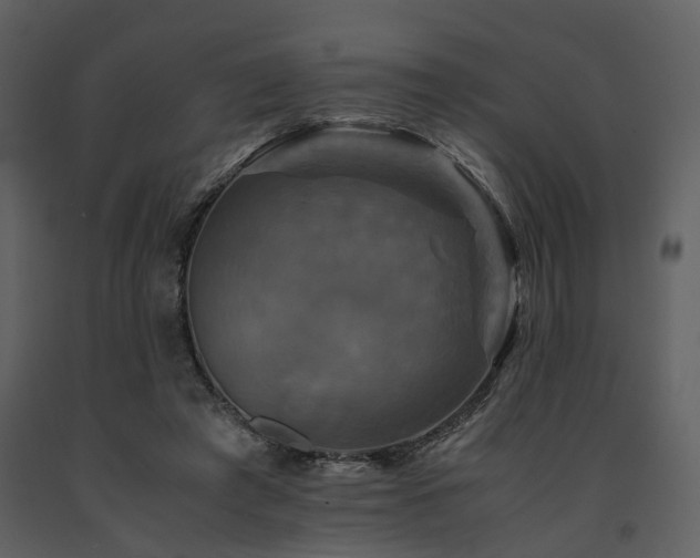 X0000091710401200708241252