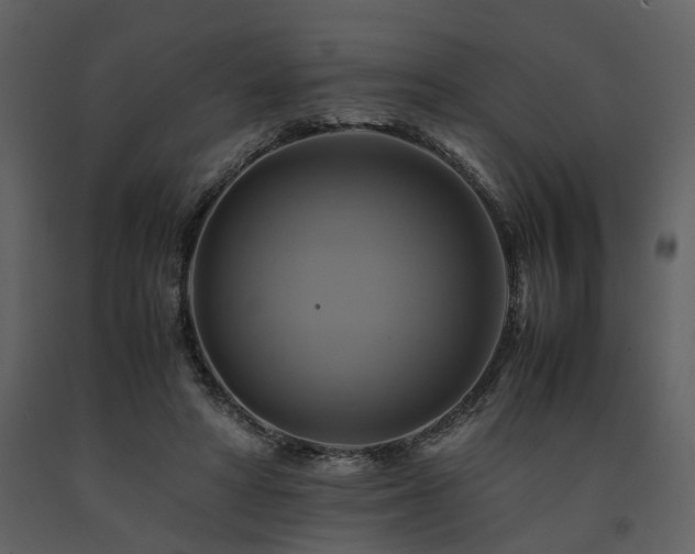 X0000091710402200708241252