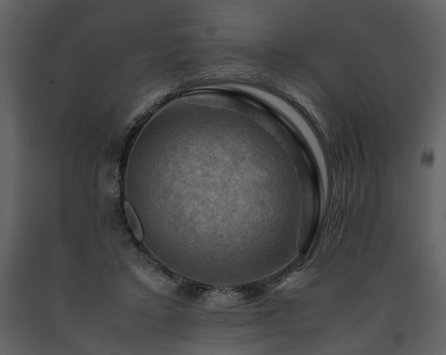 X0000091710403200708241252