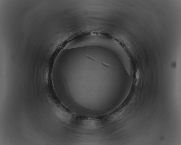 X0000091710404200708241252