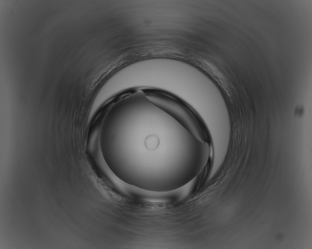 X0000091710405200708241252