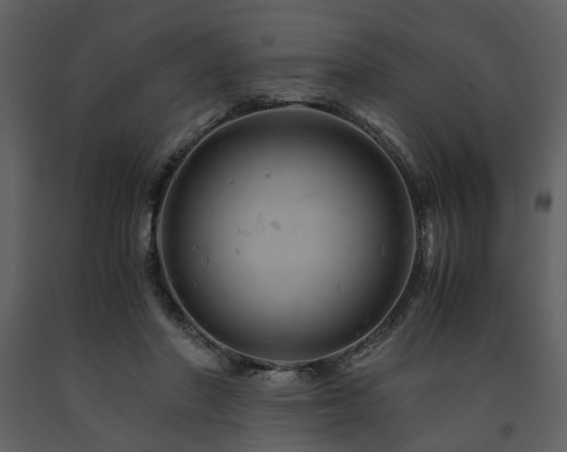 X0000091710406200708241252