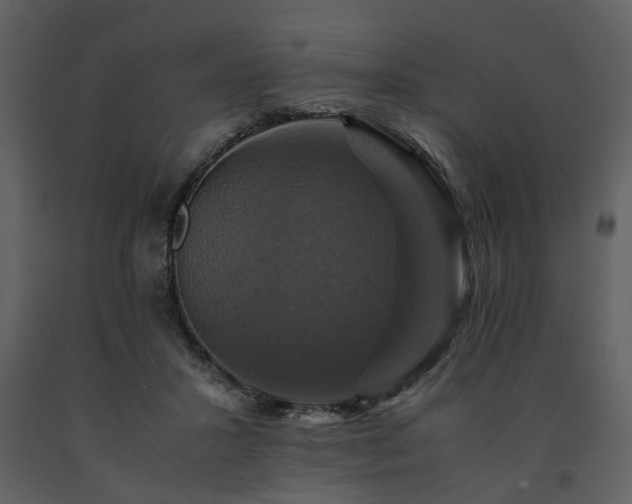 X0000091710407200708241252