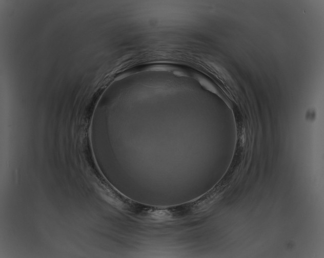 X0000091710409200708241252