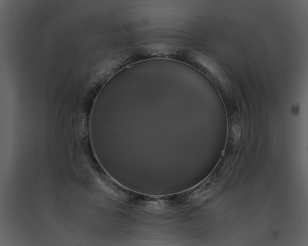 X0000091710411200708241252