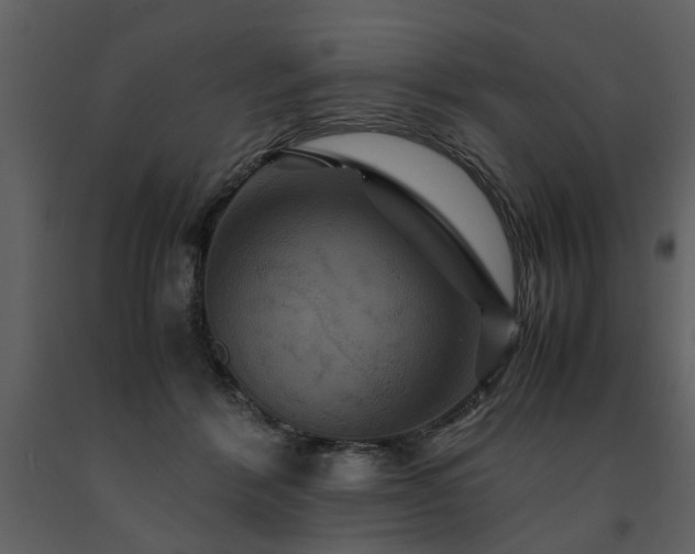 X0000091710412200708241252