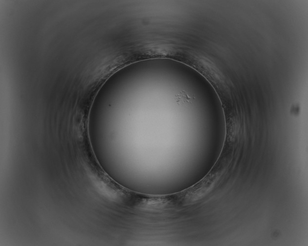 X0000091710414200708241252