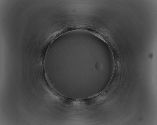 X0000091710415200708241252