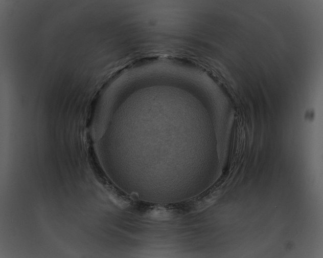 X0000091710416200708241252